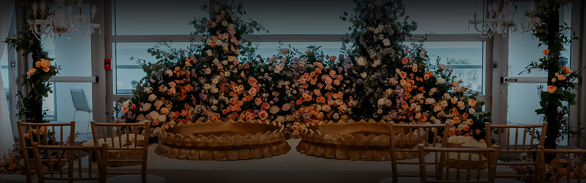 a group of flowers next to each other