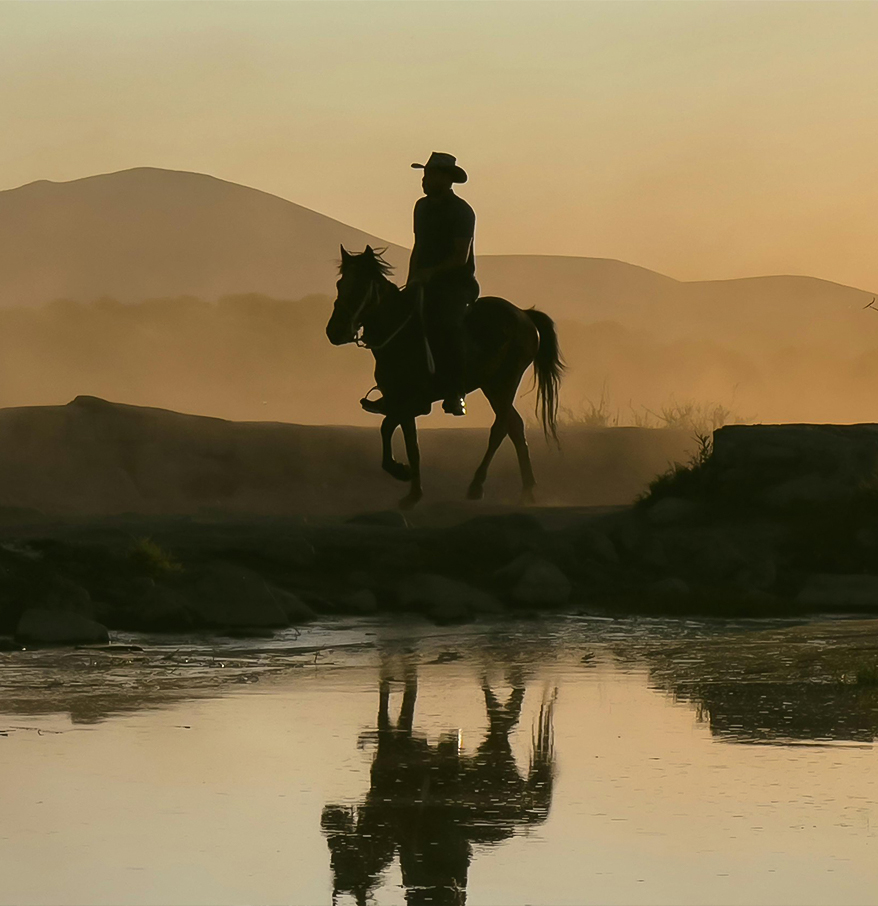 a man riding a horse by a body of water