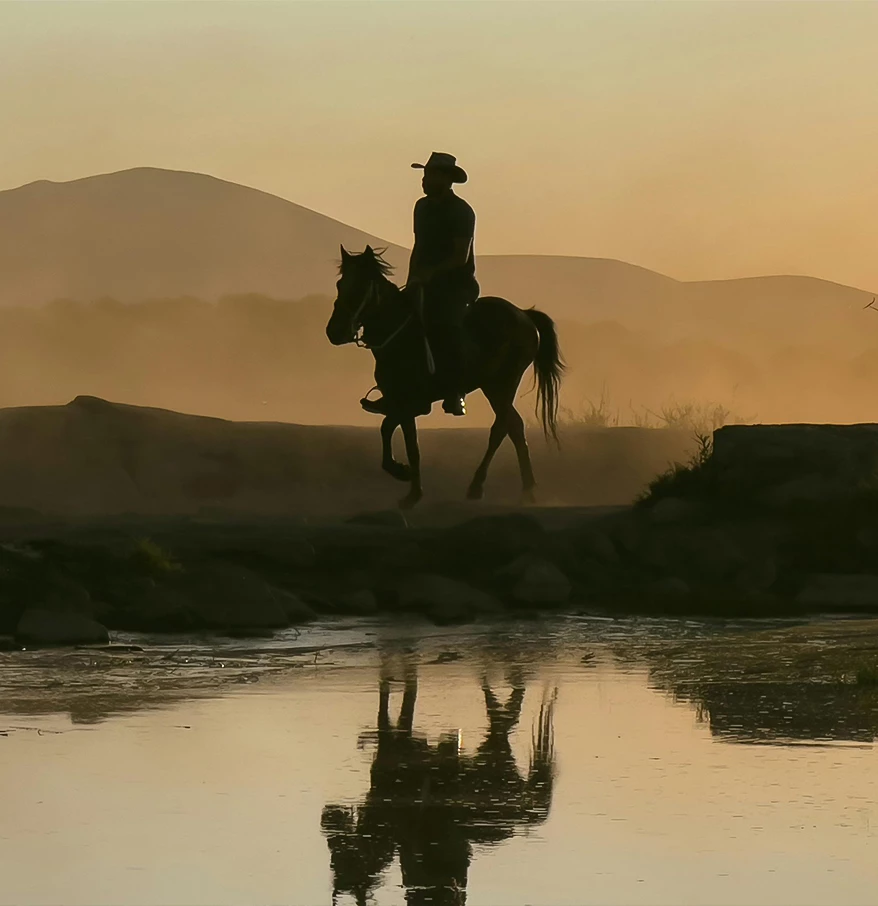 a man riding a horse by a body of water
