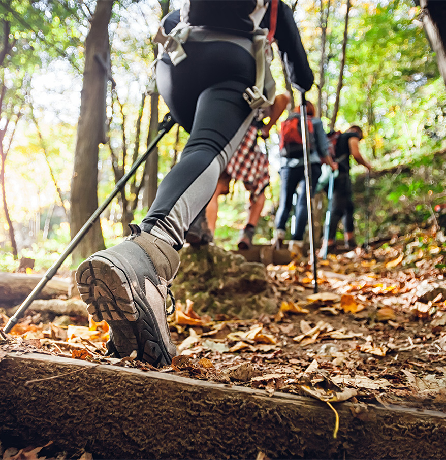 a group of people hiking in the woods