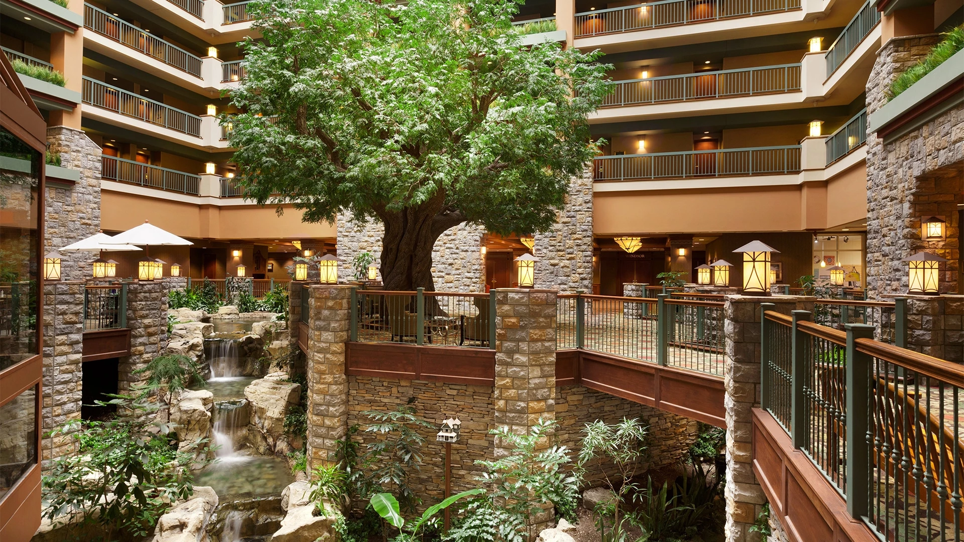 a tree in a courtyard of a building
