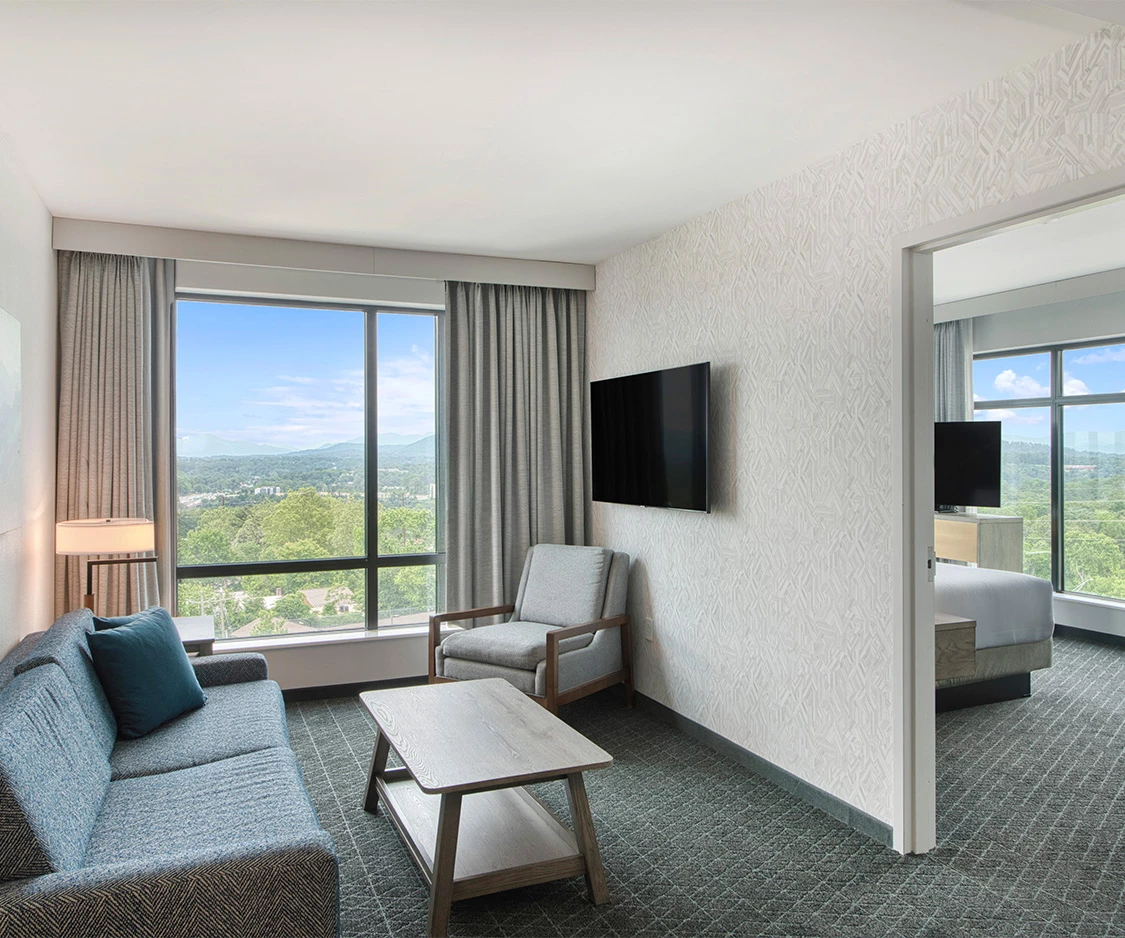 a room with a couch and a television