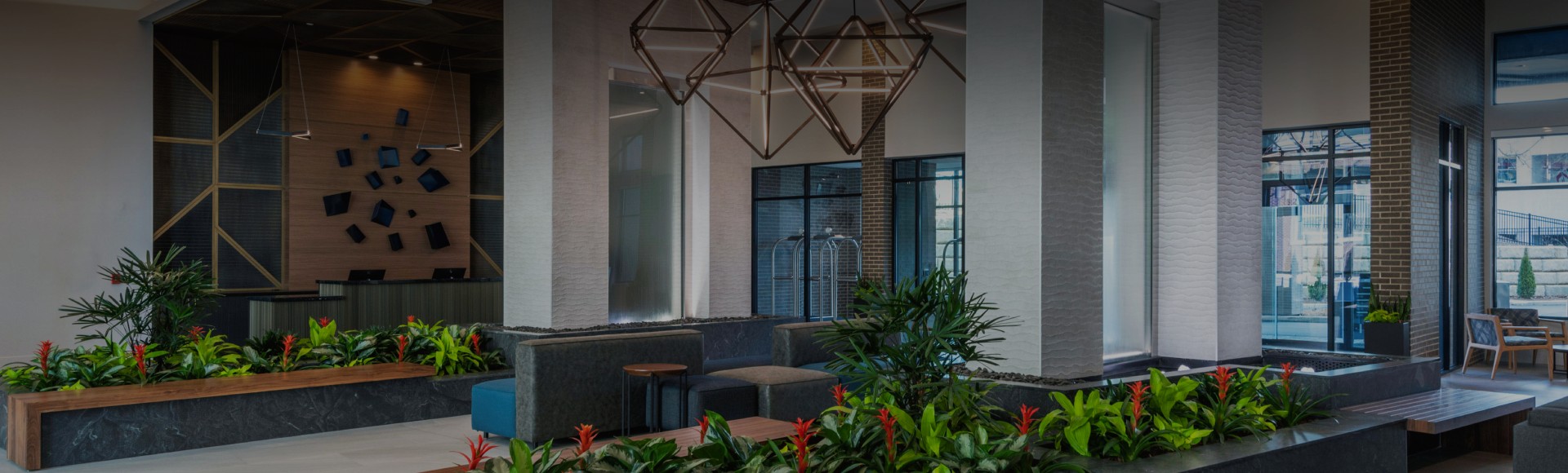 a room with plants and a chandelier