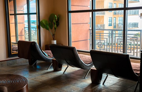 a room with chairs and a plant