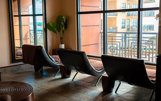 a room with chairs and a plant