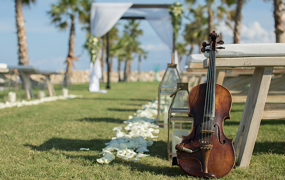 a violin on the grass