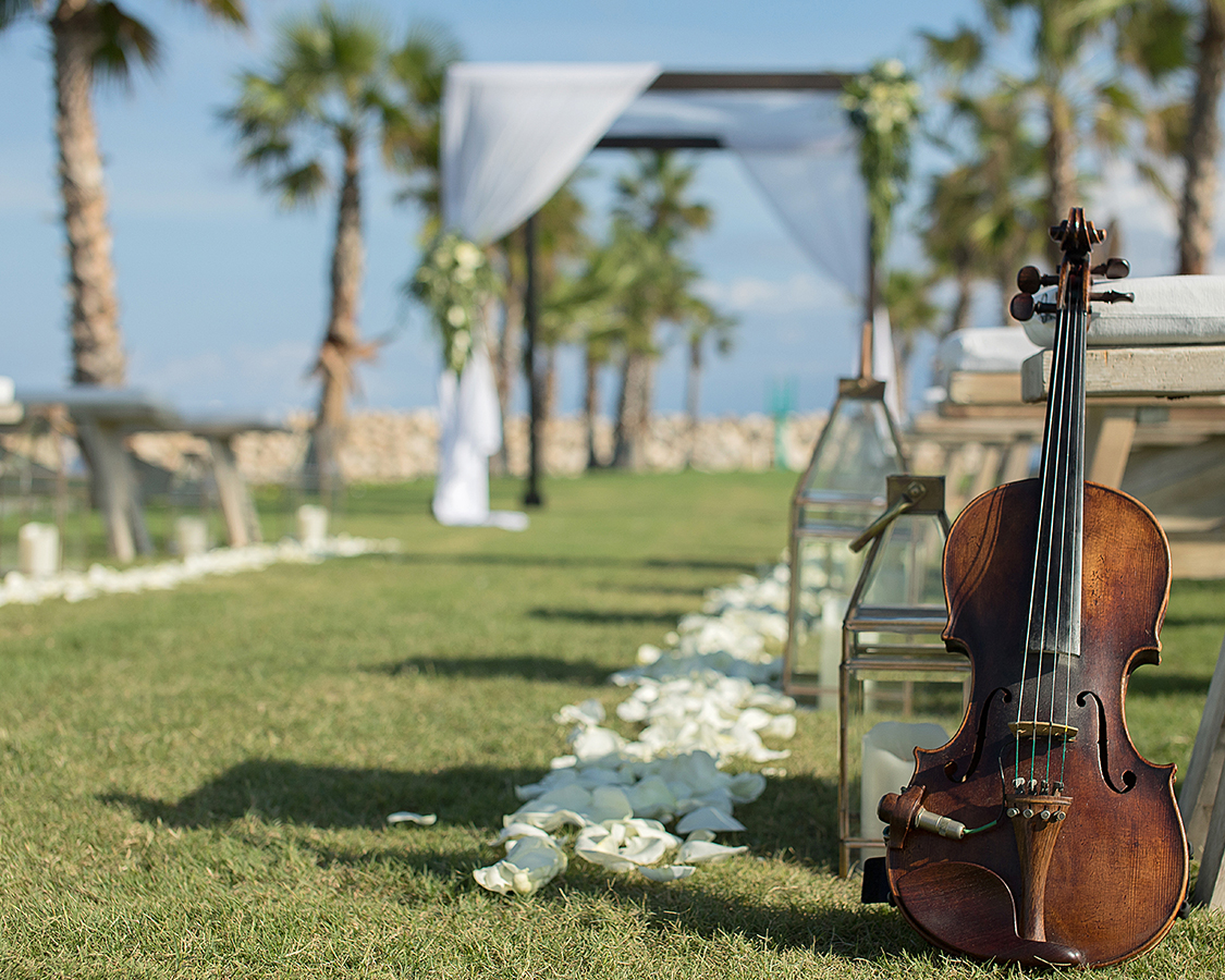 a violin on the grass