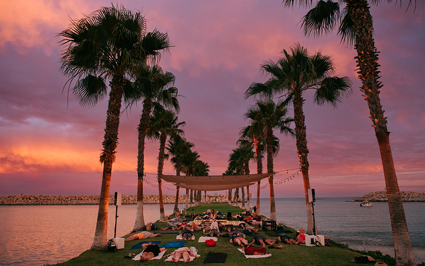 people lying on the grass under a canopy on a beach