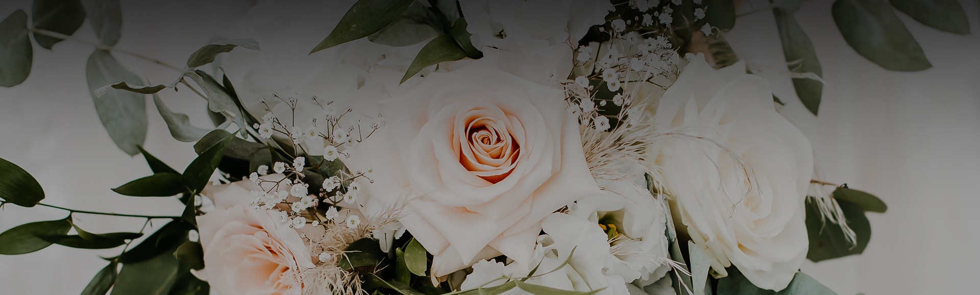 a close up of a rose