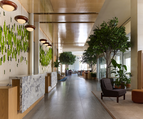 a hallway with a chair and trees