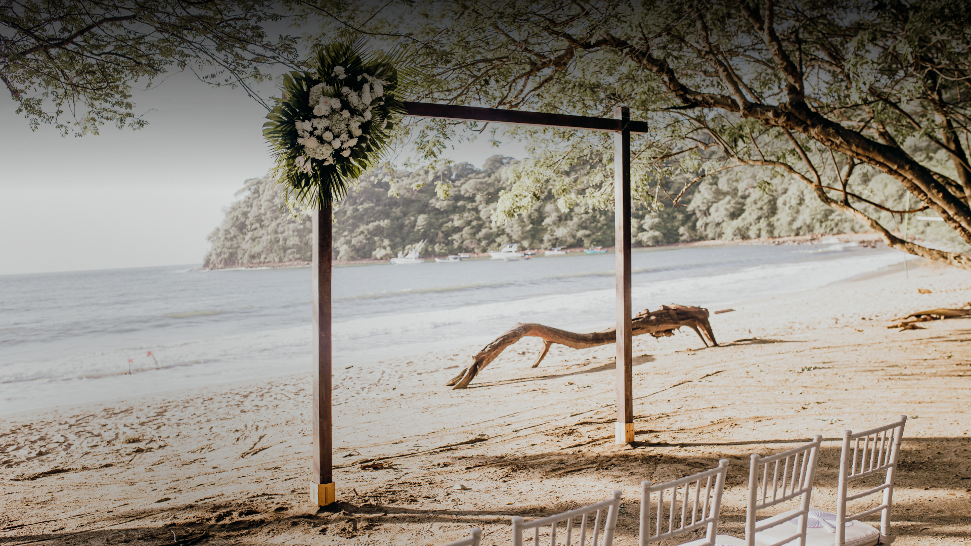 a wedding arch on a beach
