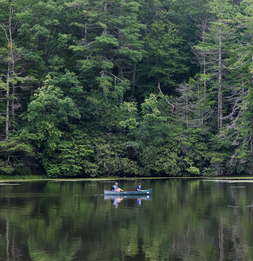 people in a canoe on a lake surrounded by trees