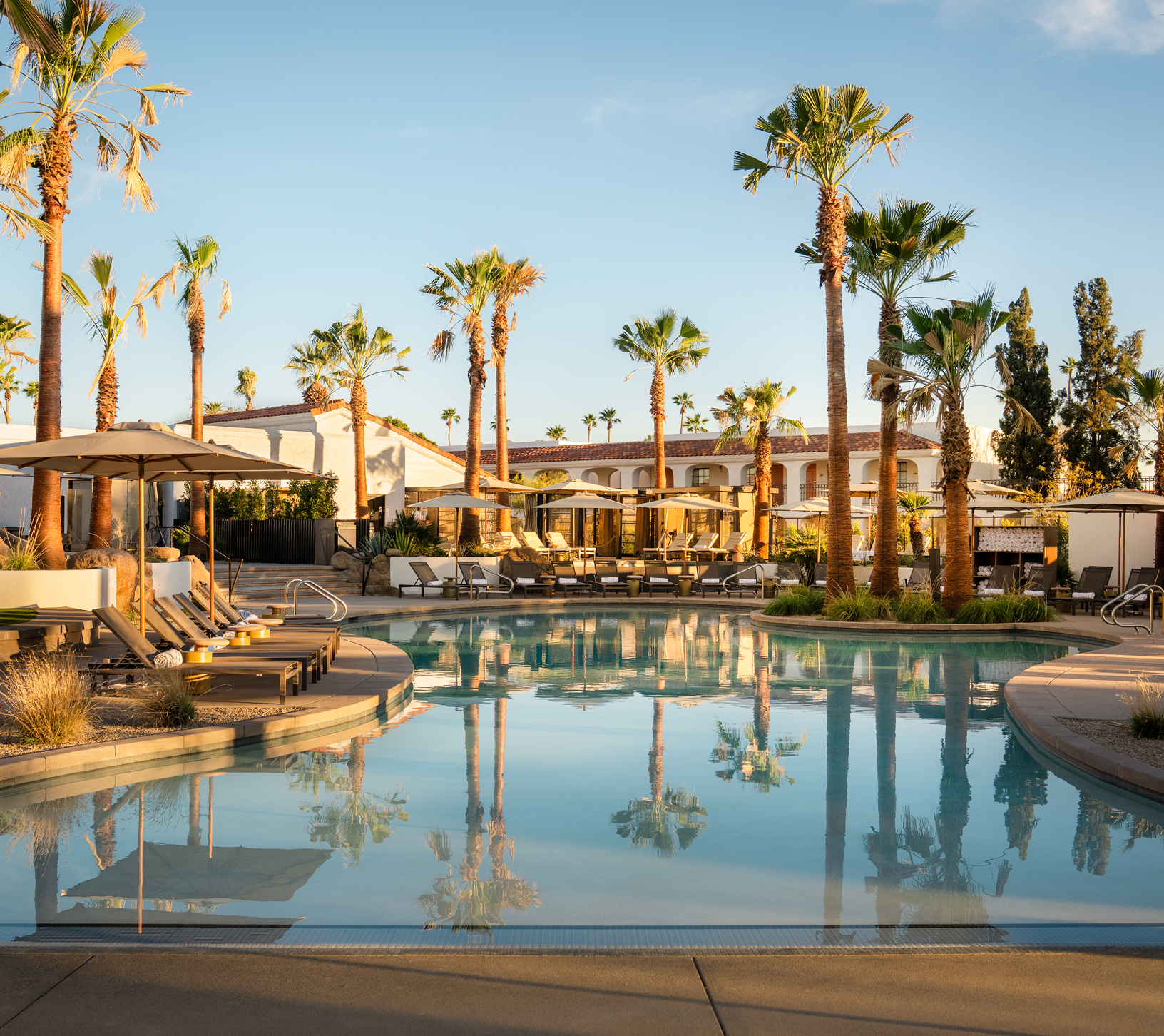 a pool with lounge chairs and palm trees