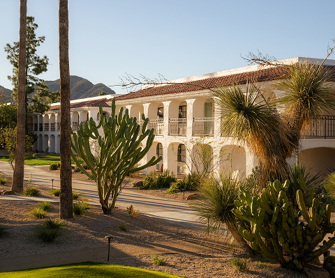a building with a palm tree and a road