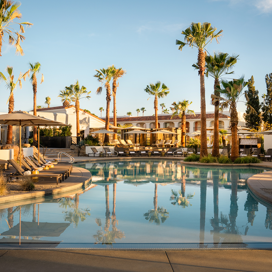 a pool with palm trees and chairs