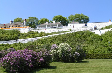 a house on a hill with bushes and trees