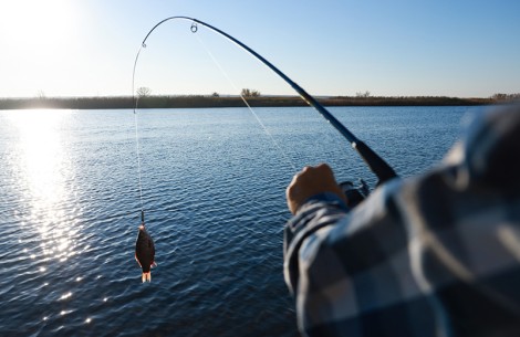 a person fishing with a fish on a fishing pole