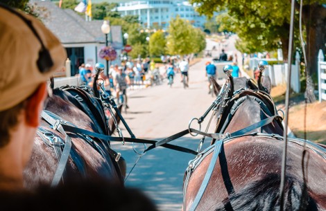 a group of horses pulling a carriage