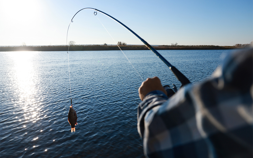 a person fishing with a fish on a fishing pole