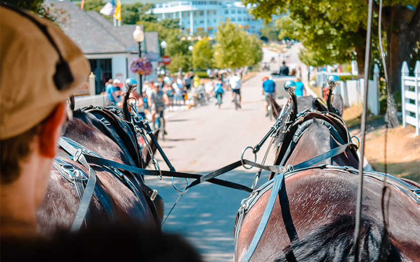 a group of horses pulling a carriage