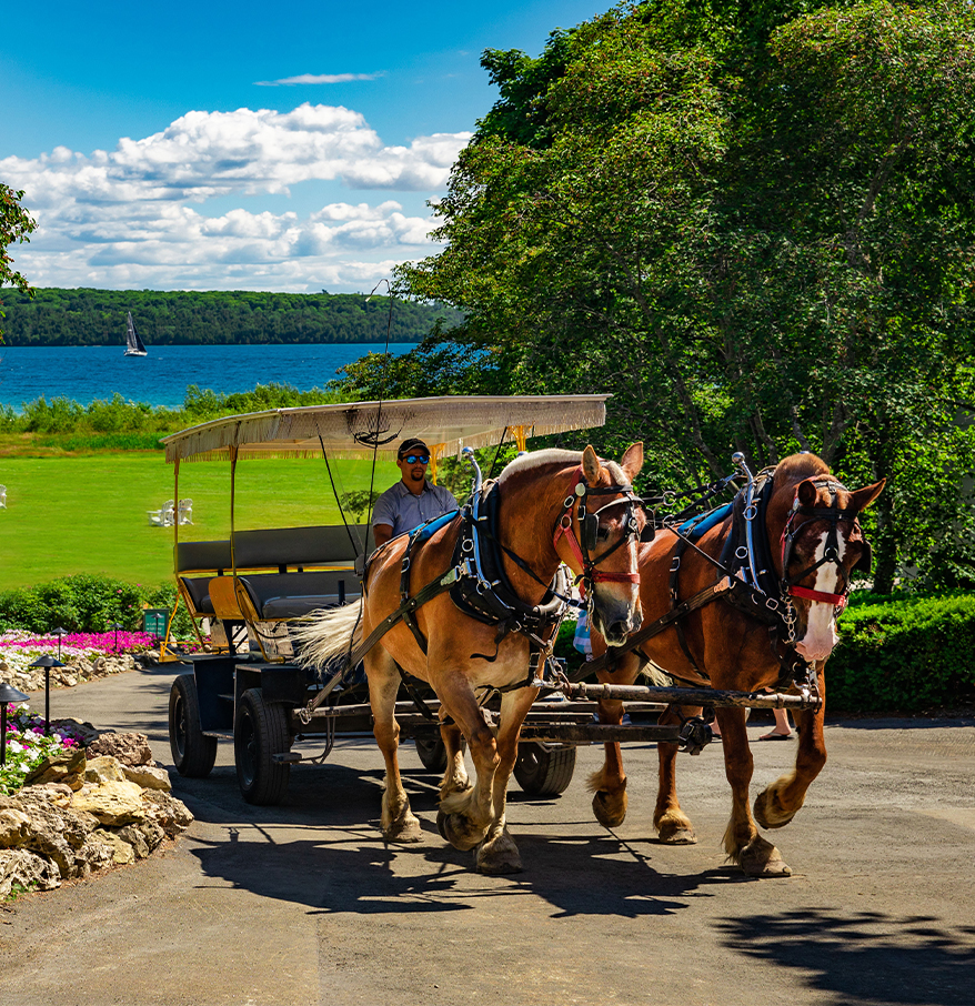 a horse drawn carriage with a man riding on it