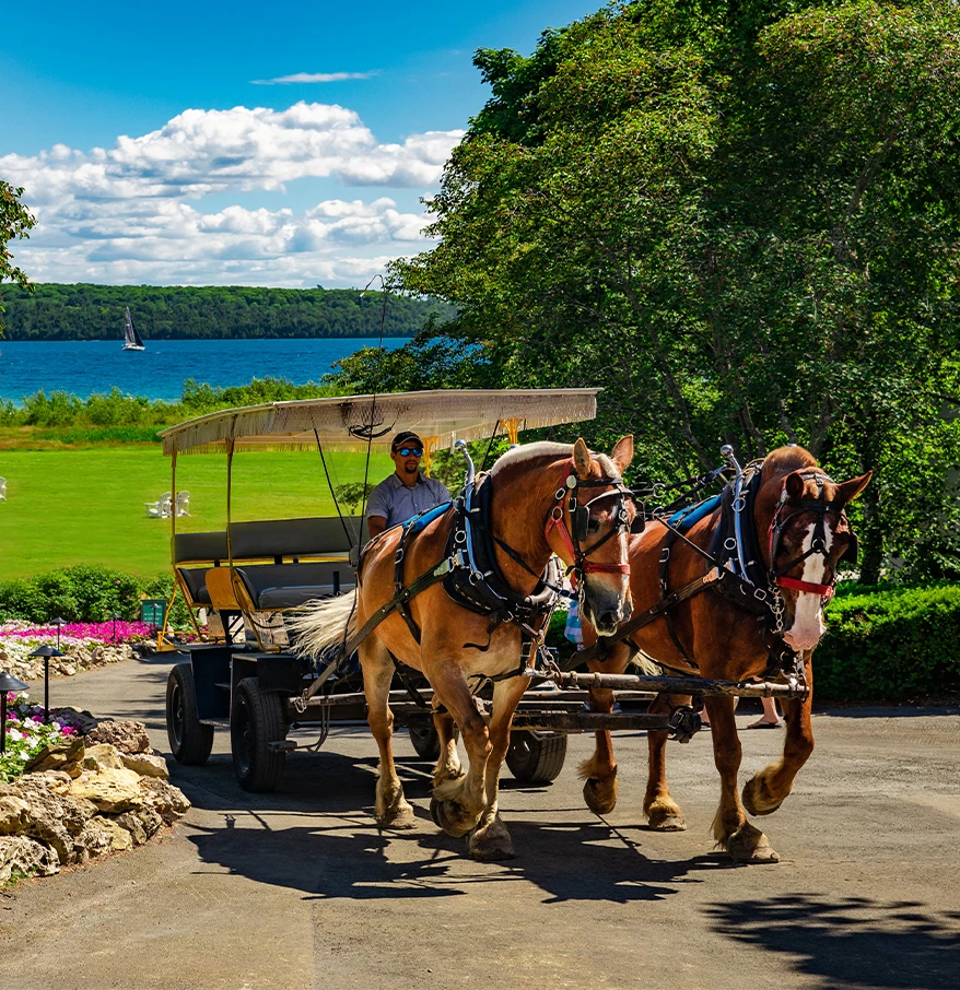 a horse drawn carriage with a man riding on it