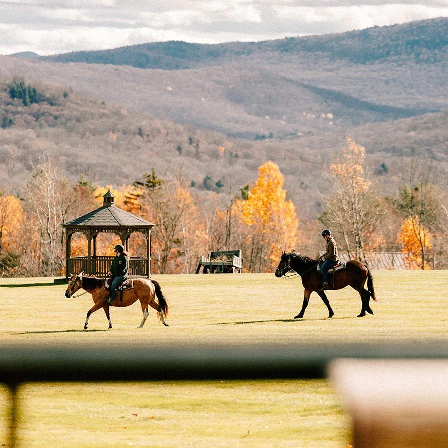 people riding horses in a field