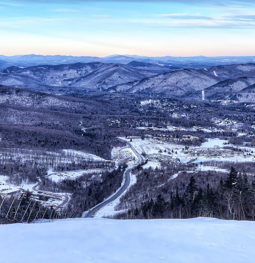 a snowy landscape with a road and trees