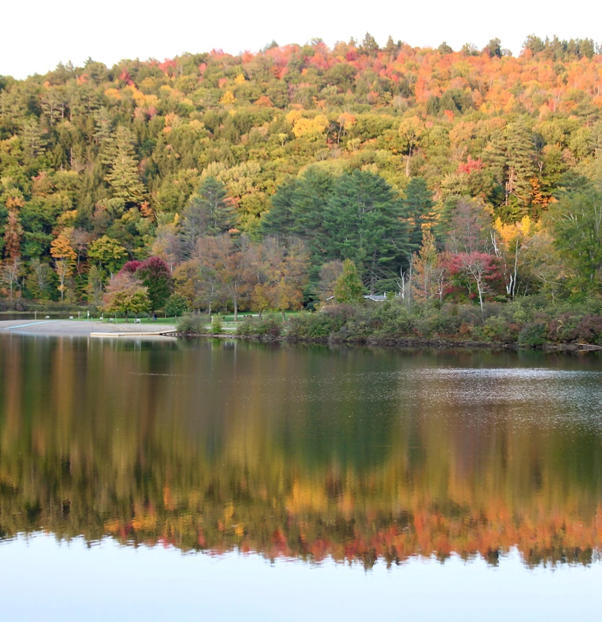 a lake with trees and a hill in the background