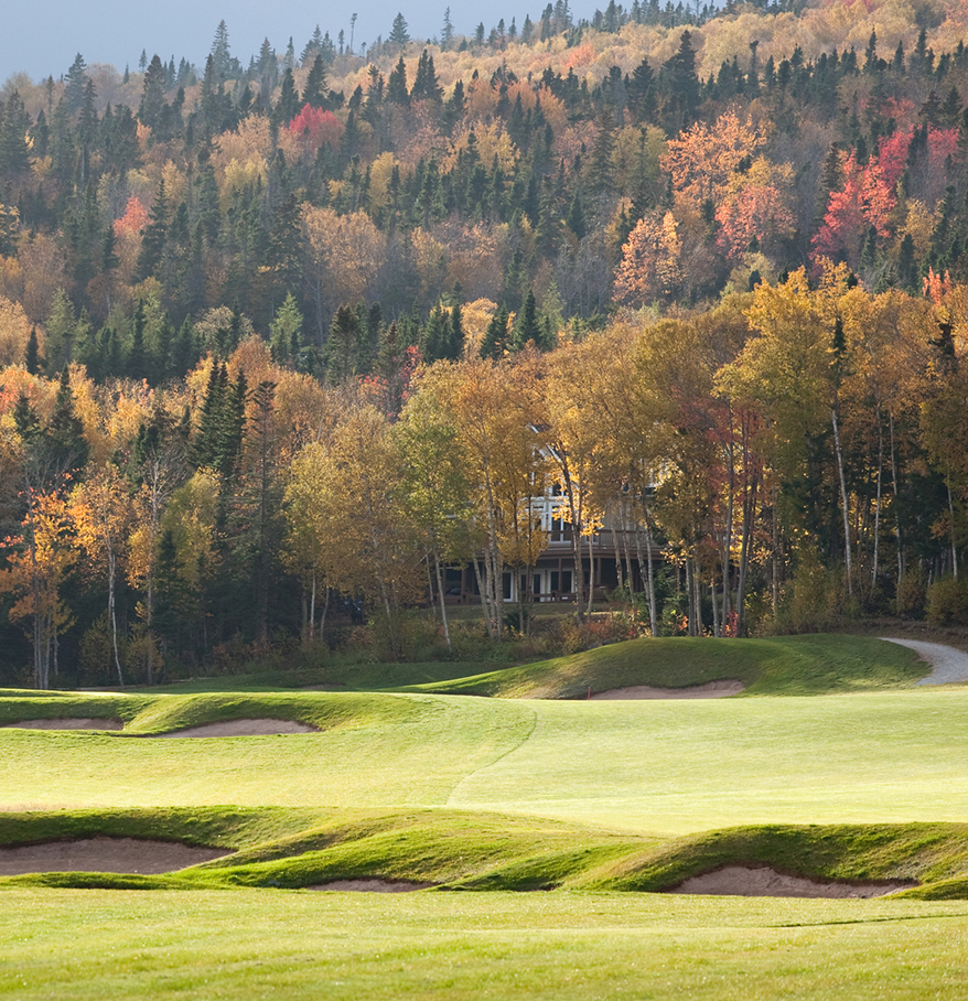 a golf course with trees in the background
