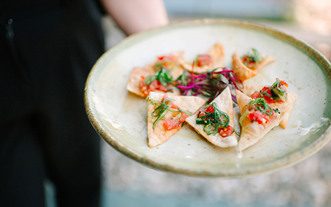 a plate of food on a hand