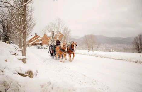 horses pulling a carriage in the snow