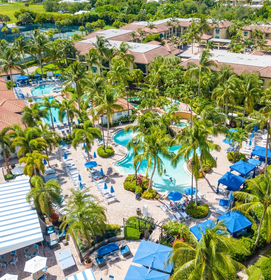 a swimming pool surrounded by palm trees