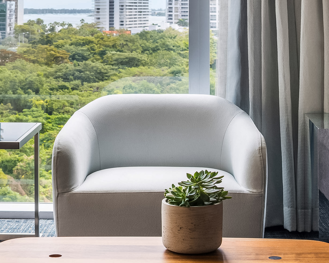 a chair and a plant on a table
