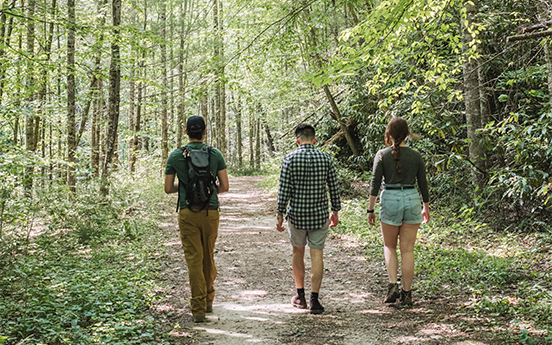 a group of people walking on a path in the woods