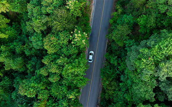 a car on a road surrounded by trees