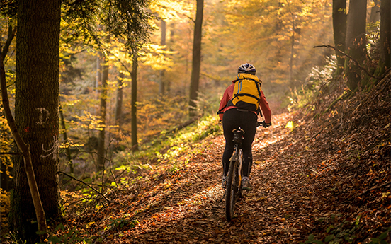 a person riding a bike on a trail in the woods