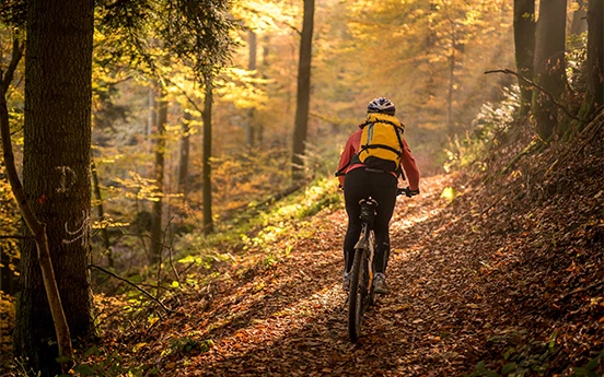 a person riding a bike on a trail in the woods