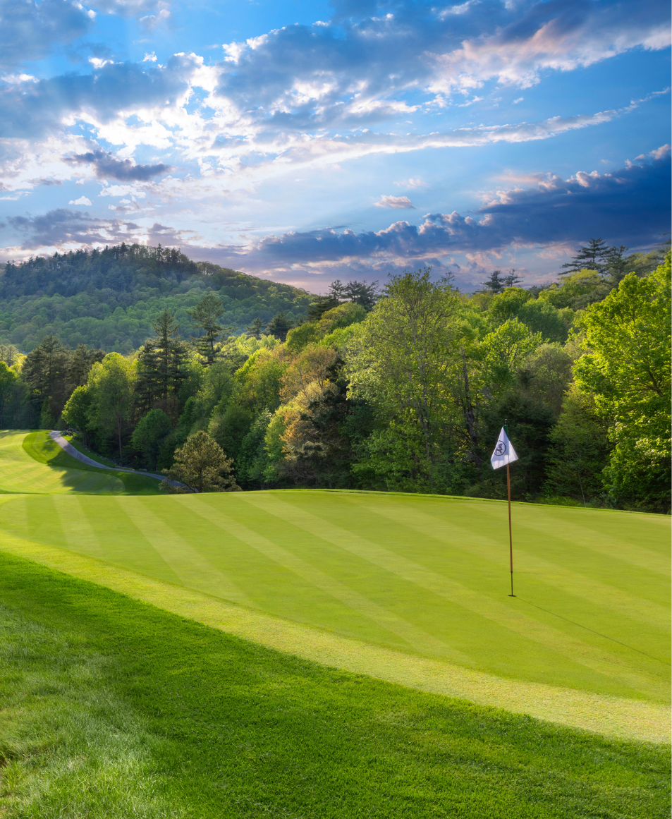 a golf course with a flag on the ground