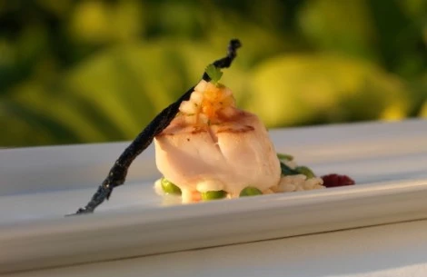 a plate of food on a table