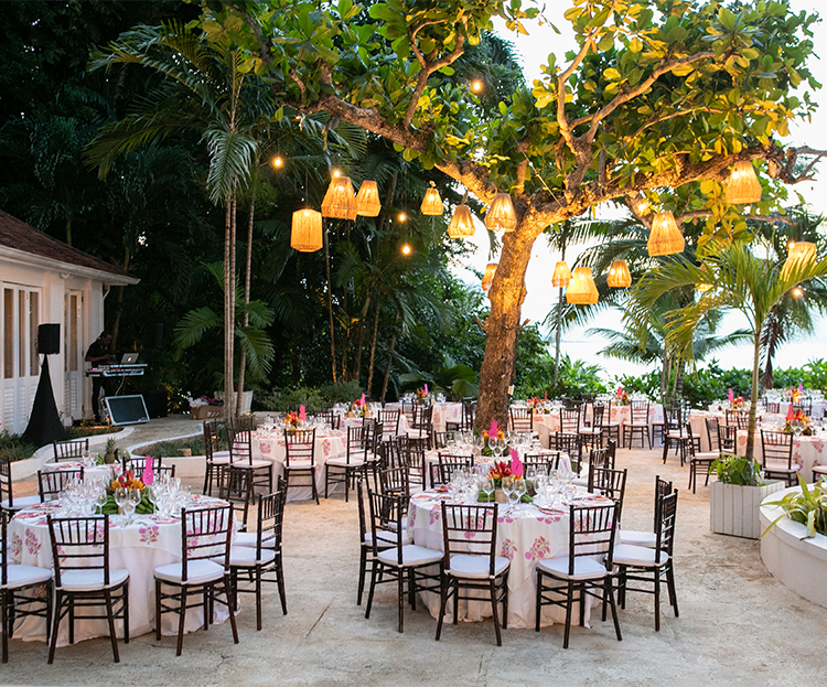 a group of tables and chairs under a tree