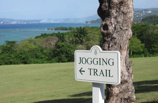 a sign on a tree with a body of water in the background