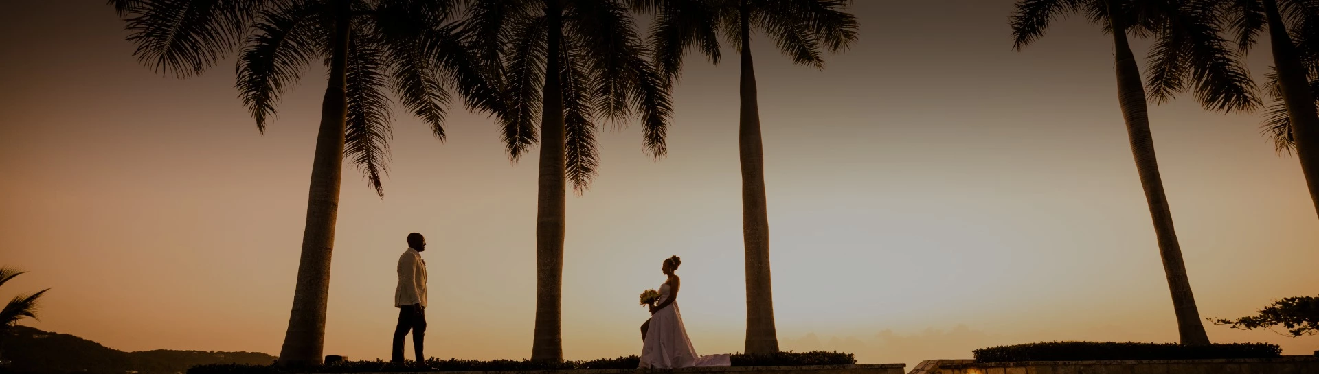 a woman in a white dress sitting under palm trees