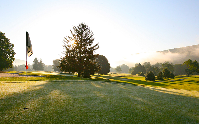 a large grassy area with trees and a tree in the background