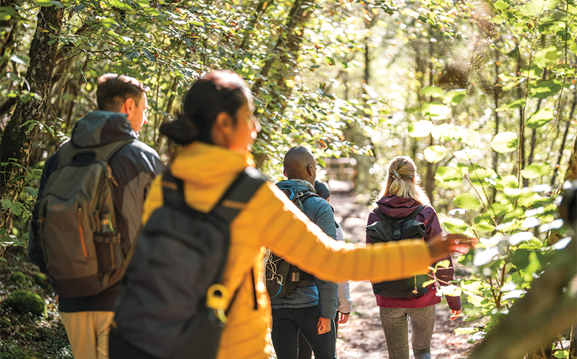 a group of people walking in the woods