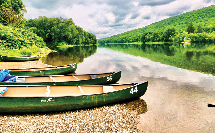 a group of canoes on a river bank