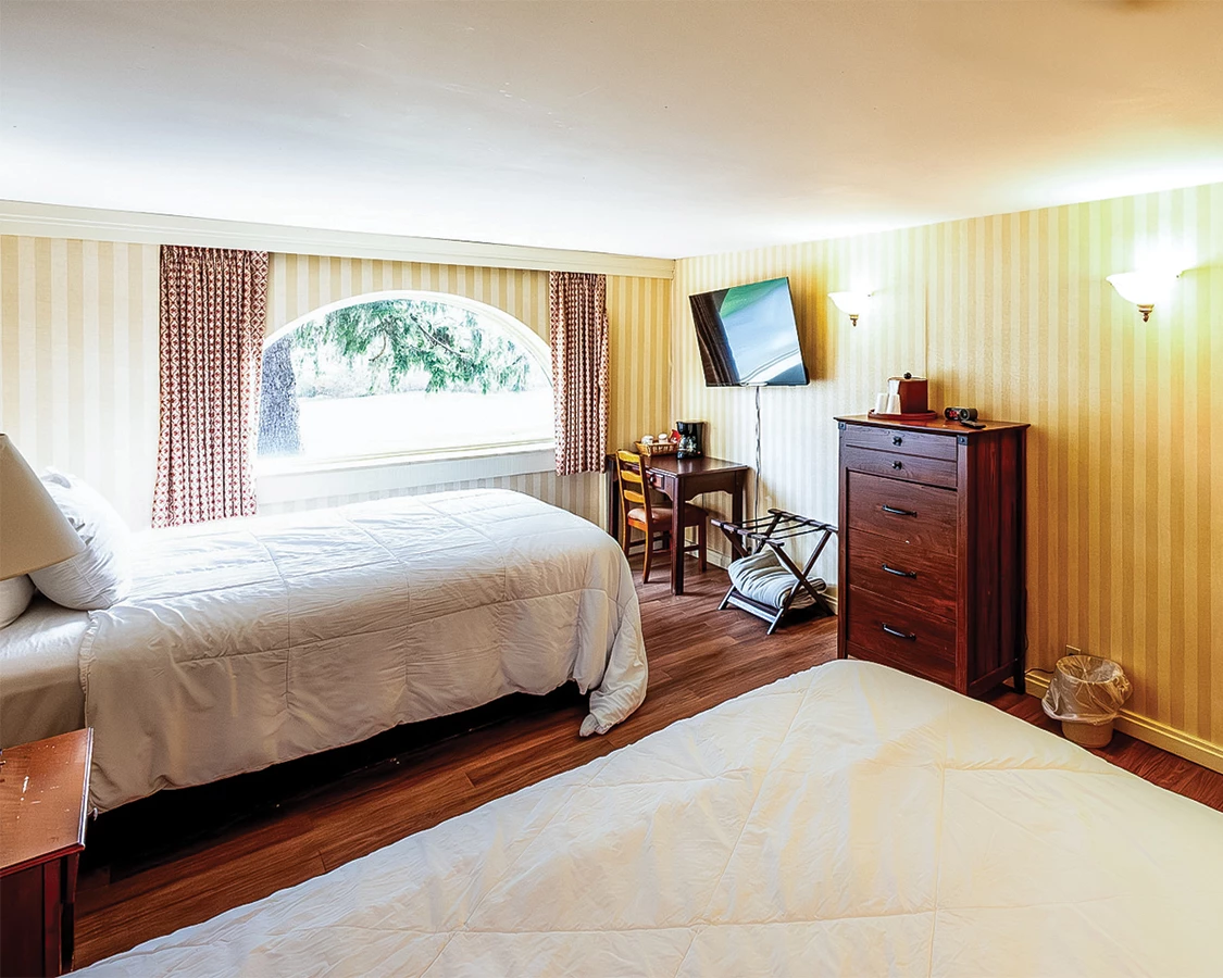 a bedroom with a bed and a tv