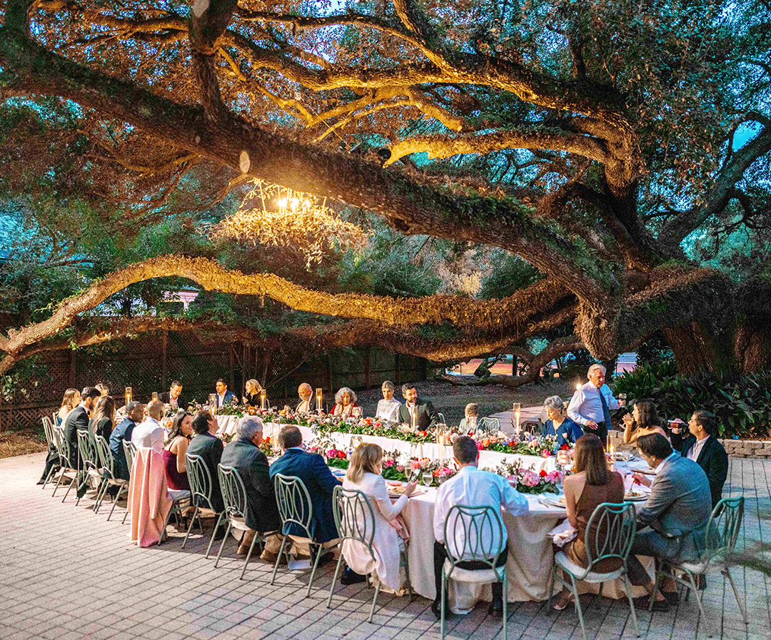 a group of people sitting at a table under a large tree