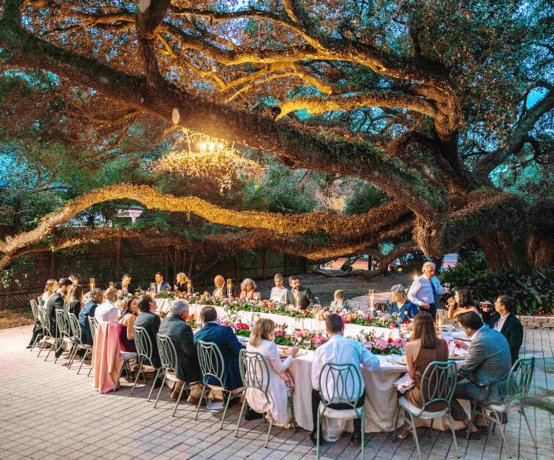 a group of people sitting at a table under a large tree