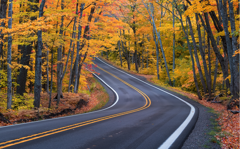 a road with trees in the background